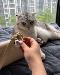 EternalPaw Keychain
