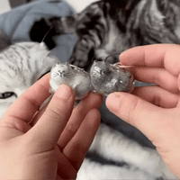 EternalPaw Keychain