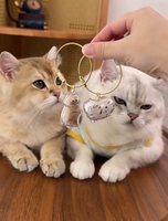 EternalPaw Keychain