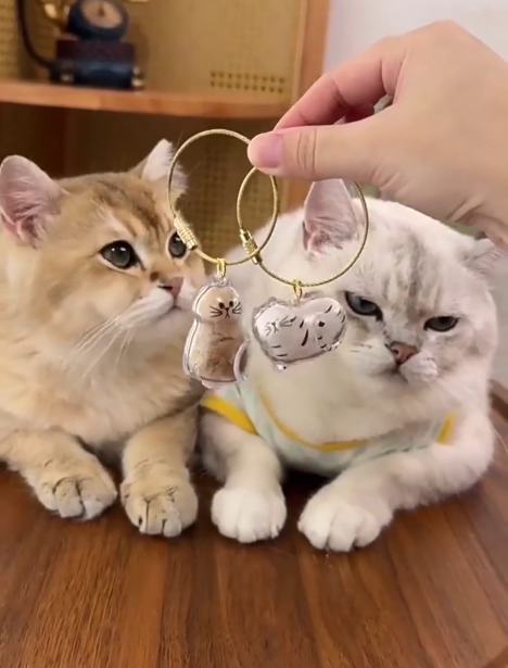 EternalPaw Keychain